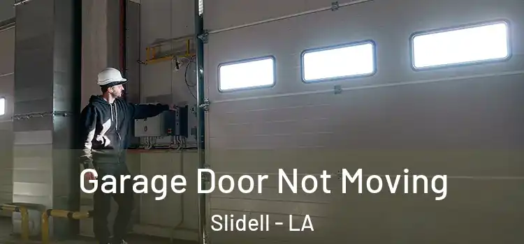 Garage Door Not Moving Slidell - LA