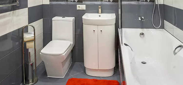 Hansgrohe Shaving Mirror Slidell
